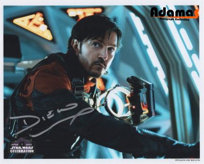 Diego Luna_2