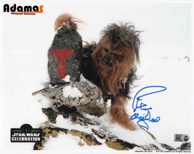 Peter Mayhew_4