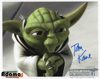 Tom Kane