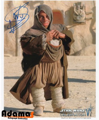 Warwick Davis